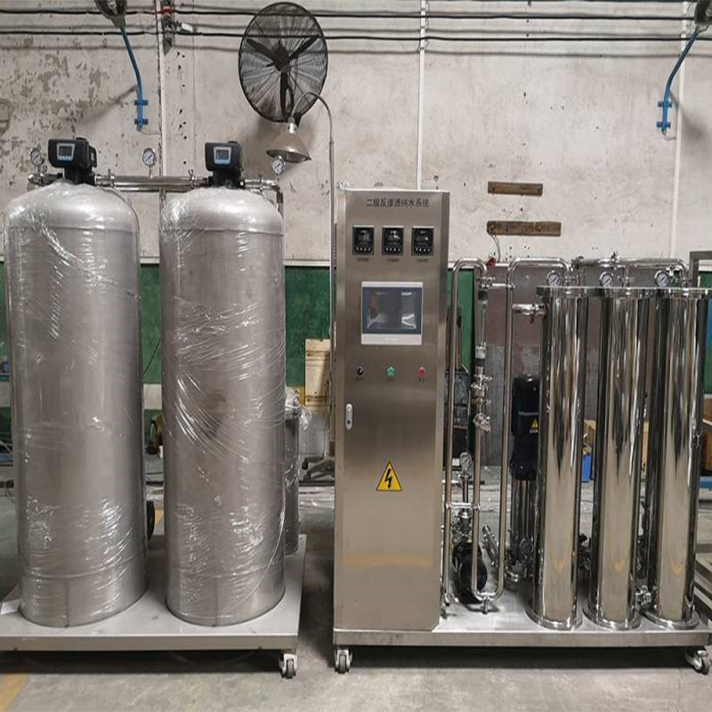 1 t/H secondary reverse osmosis purified water system